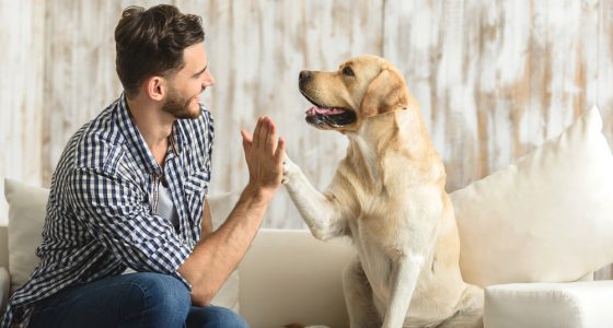 Man giving a dog a high five