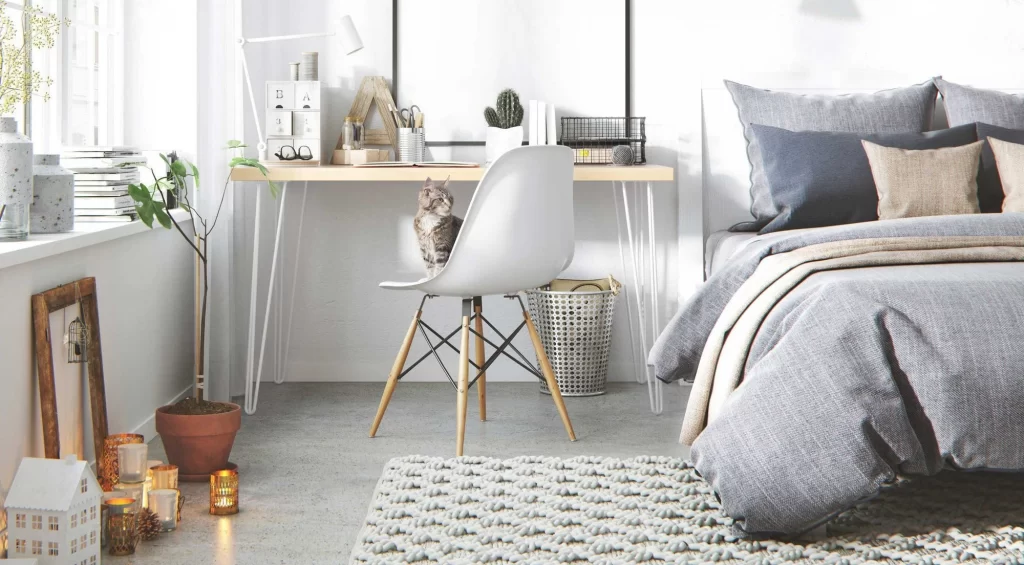 Cat sat on chair in bedroom